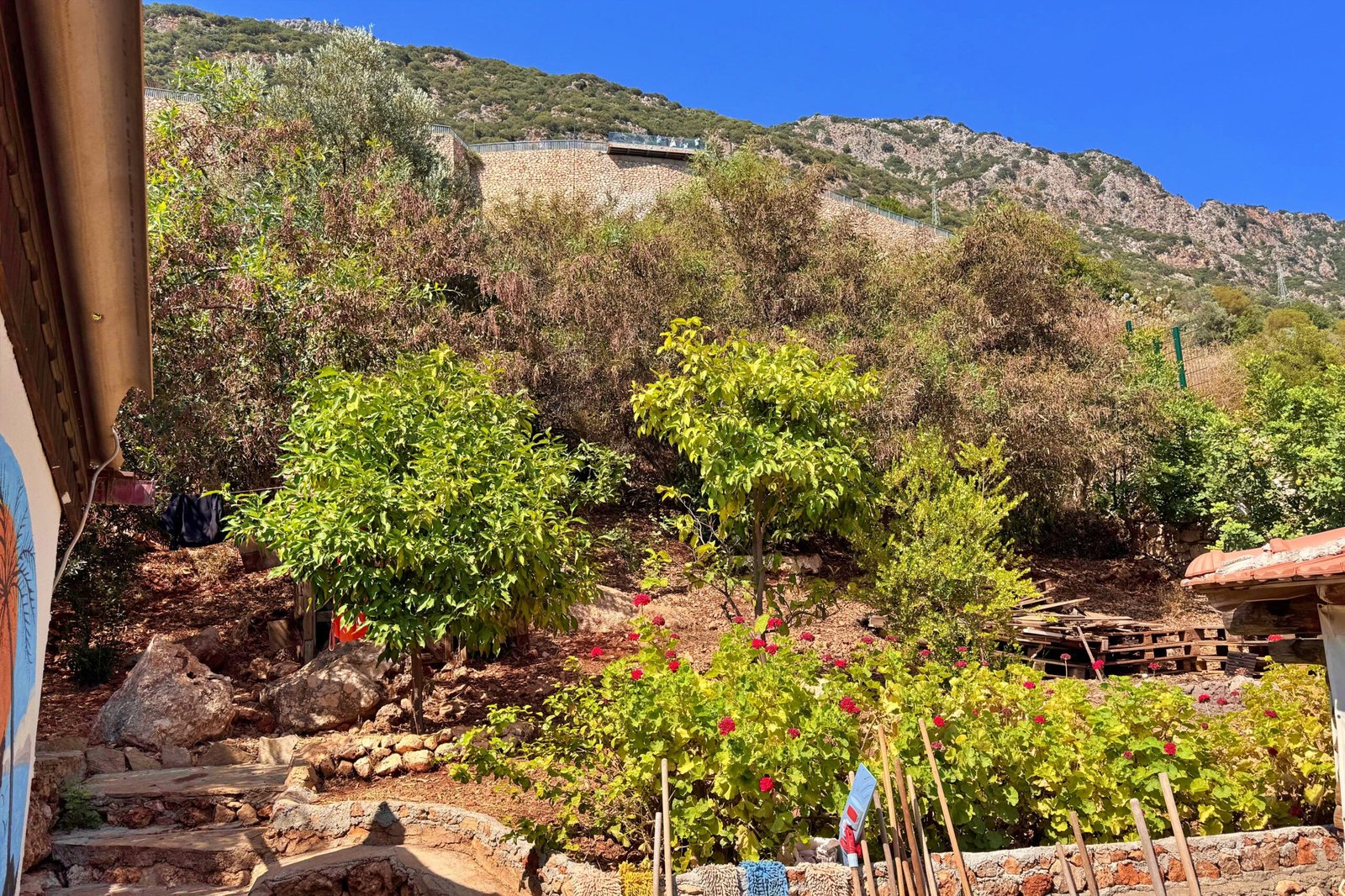 Kas_Evren_Camping Image 2025-12-09 at 11.23.49