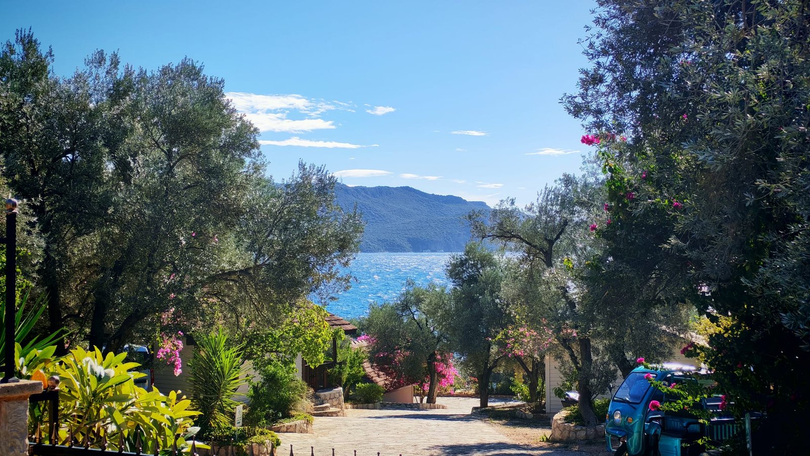 WhatsApp Image 2025-12-10 at 19.12.35