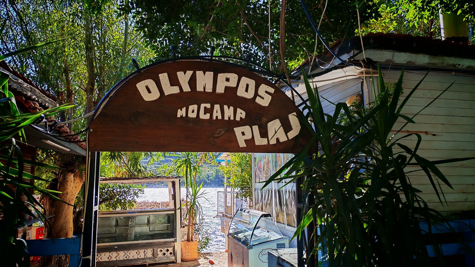 WhatsApp Image 2025-12-10 at 19.12.56