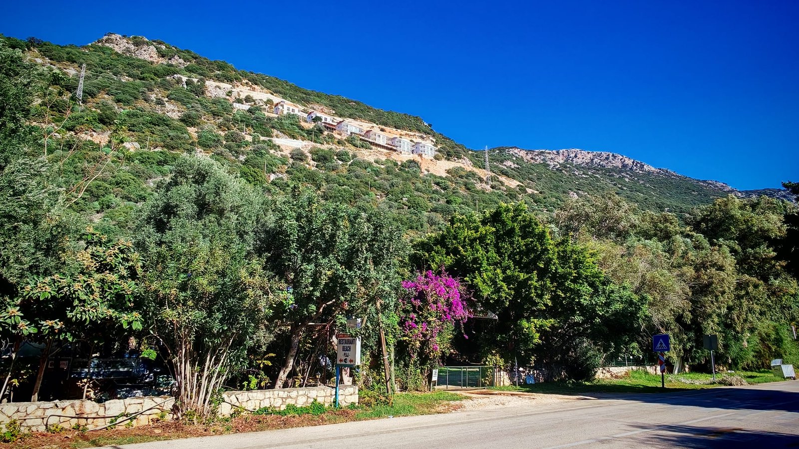 WhatsApp Image 2025-12-10 at 19.12.57