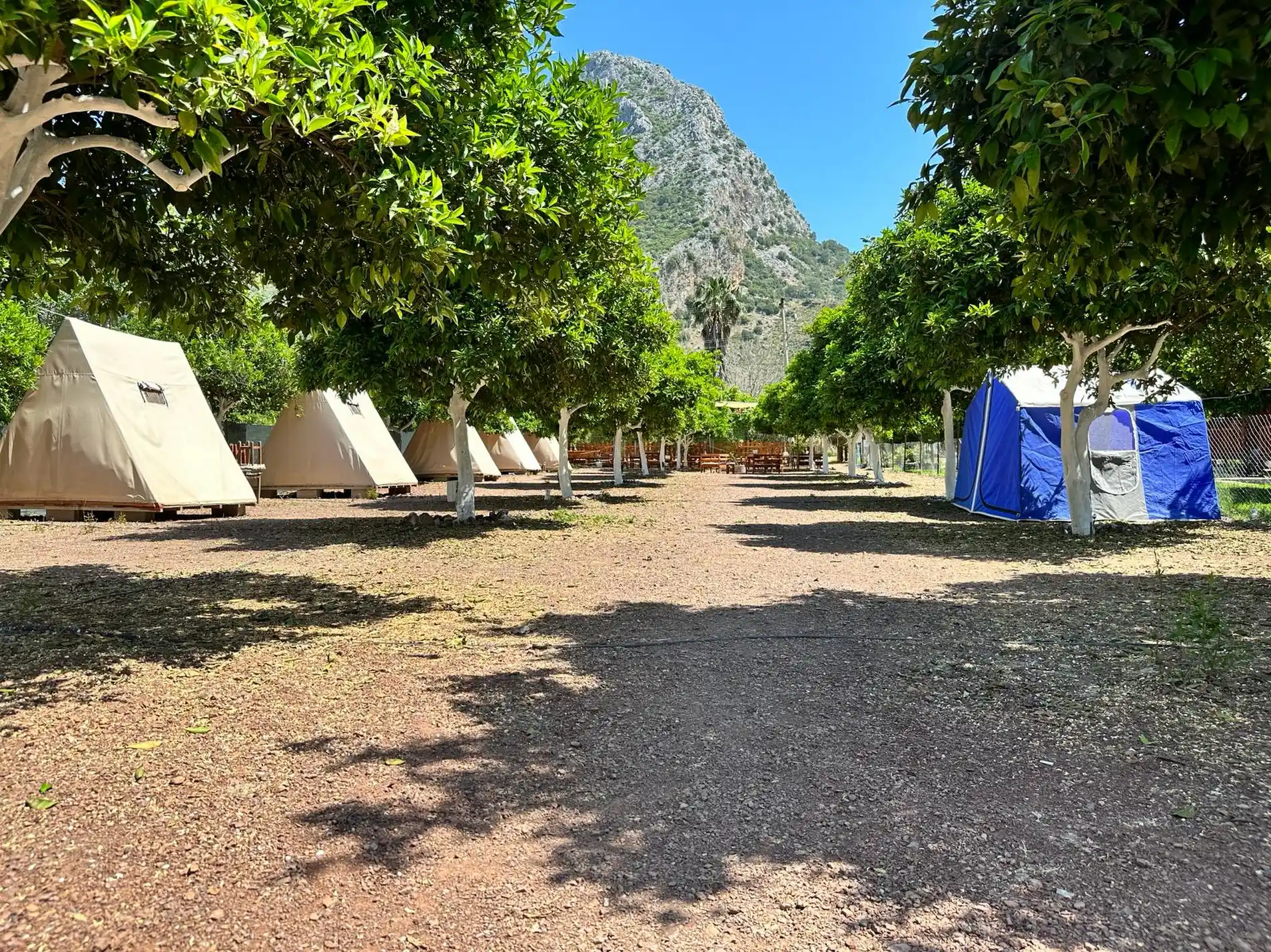 Gölge Camping